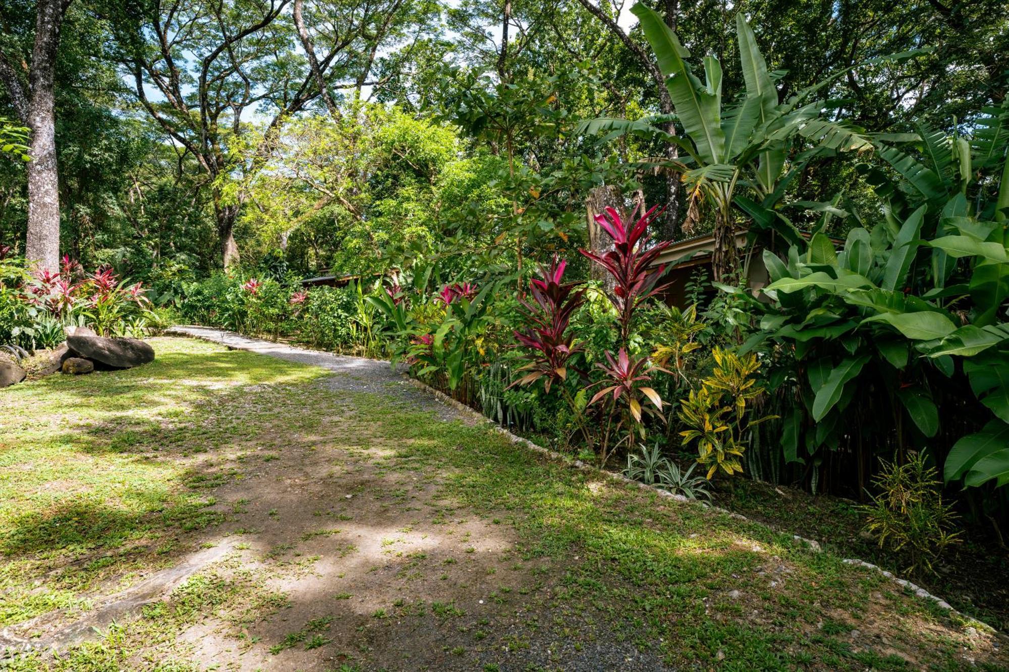 Feeling Trees Jungle Vakantiehuis *