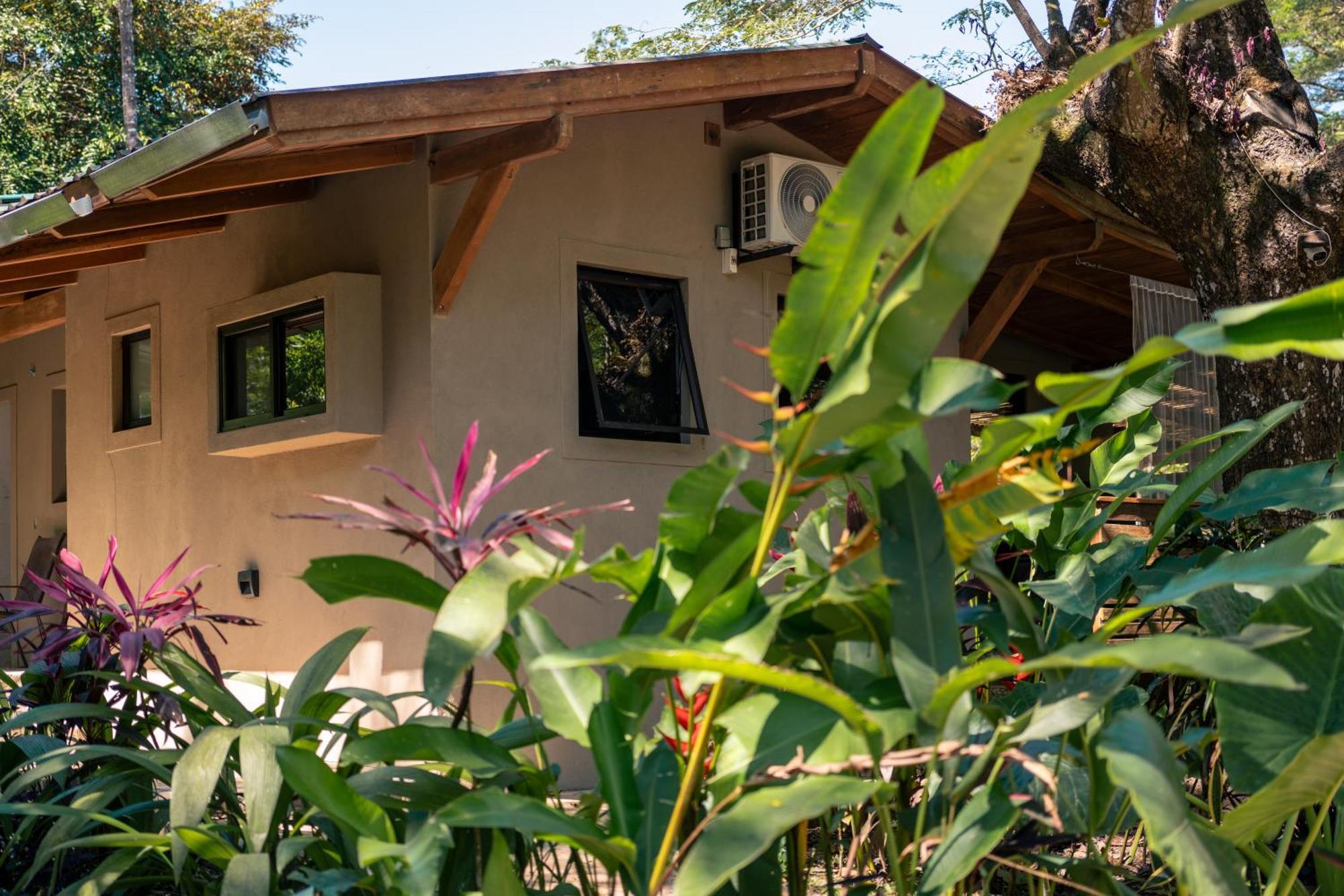 Vakantiehuis Feeling Trees Jungle