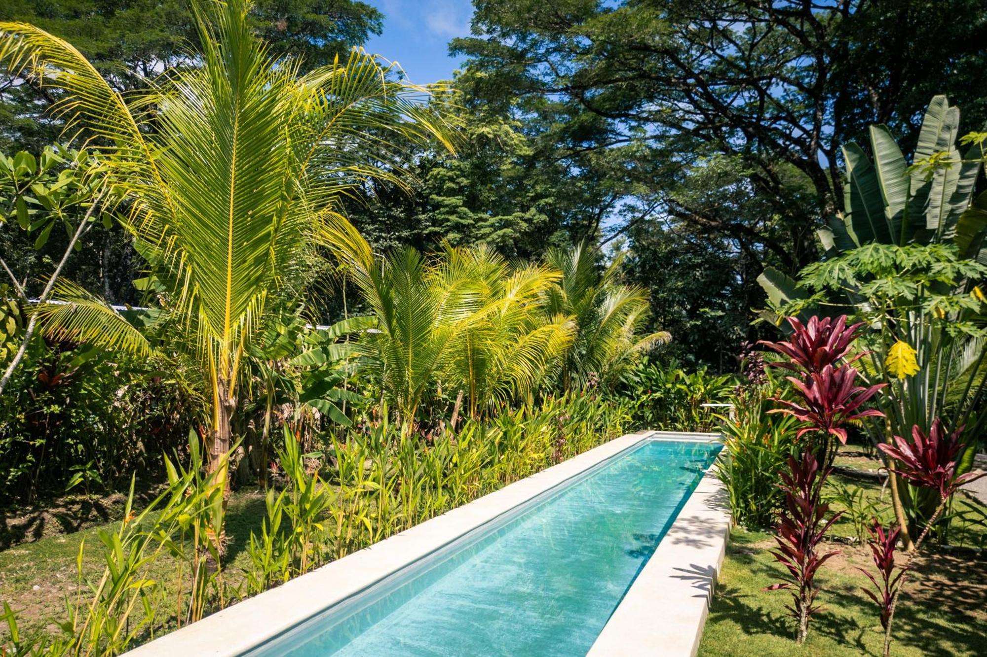 Vakantiehuis Feeling Trees Jungle *
