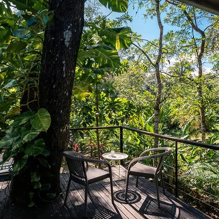 Feeling Trees Jungle Lodge Cabuya  Exterior photo