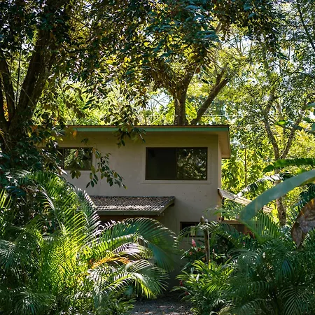 Feeling Trees Jungle Lodge Cabuya  Exterior photo