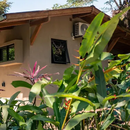 Feeling Trees Jungle Lodge Cabuya  Exterior photo