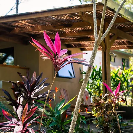 Feeling Trees Jungle Lodge Cabuya  Exterior photo