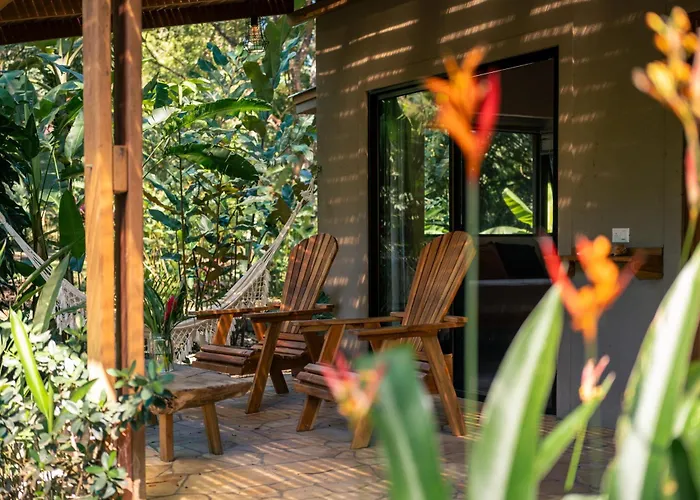 Feeling Trees Jungle Lodge