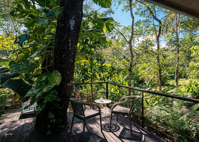 Feeling Trees Jungle Lodge