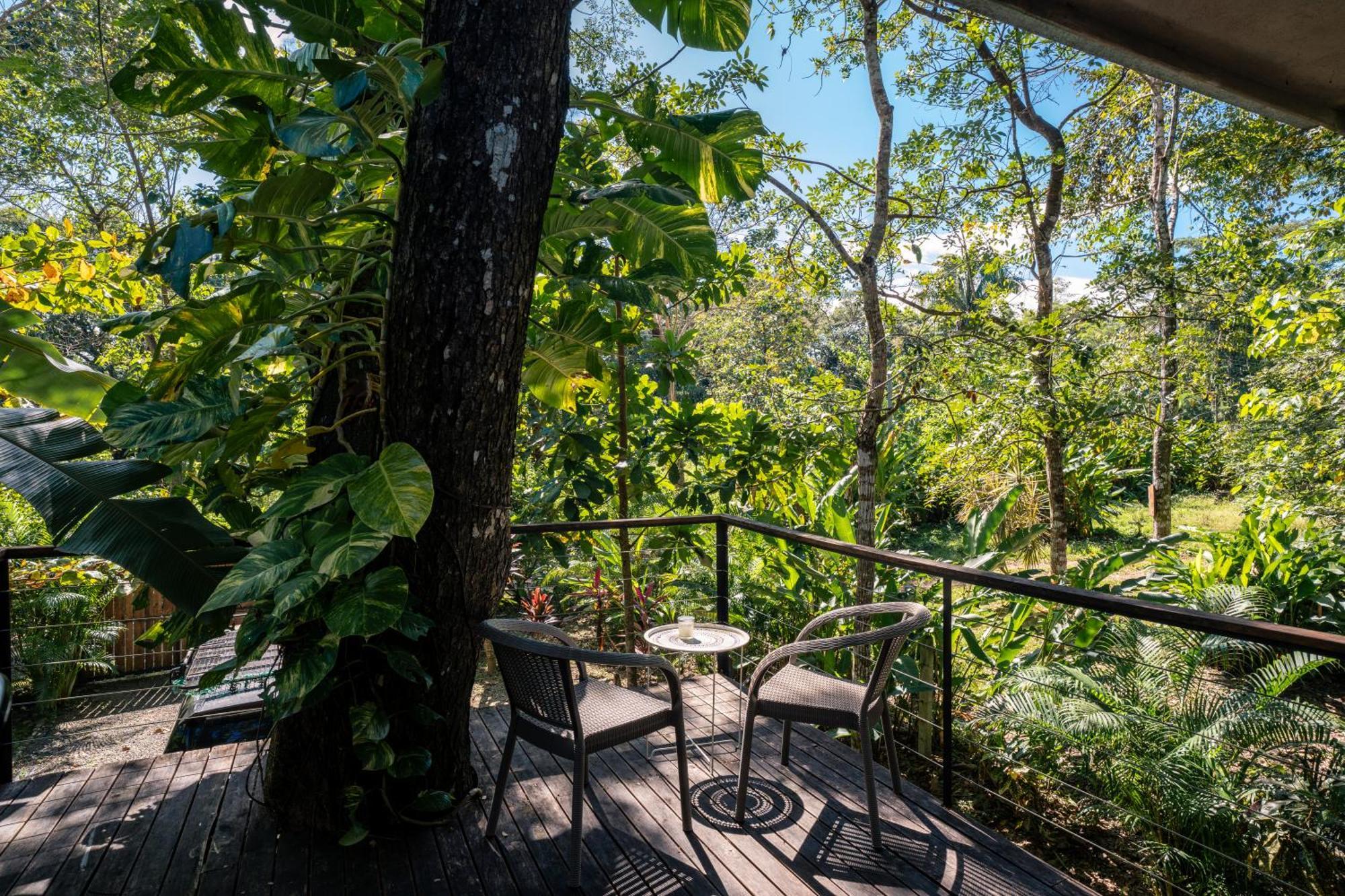 Holiday home Feeling Trees Jungle