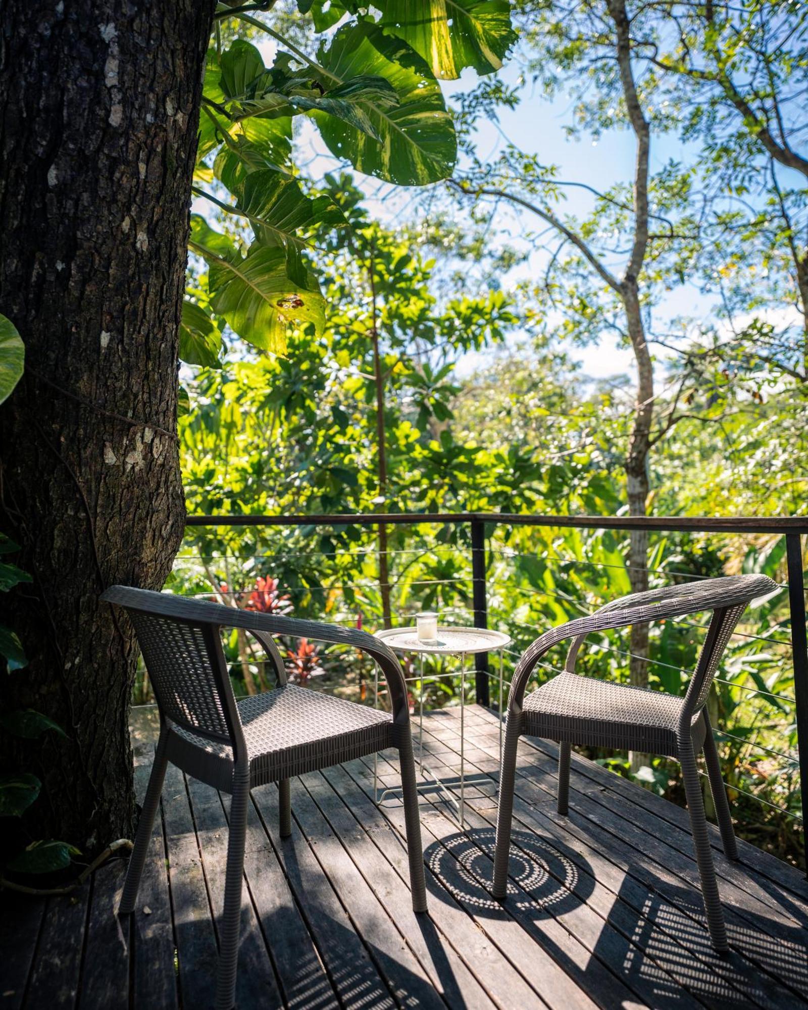 Holiday home Feeling Trees Jungle
