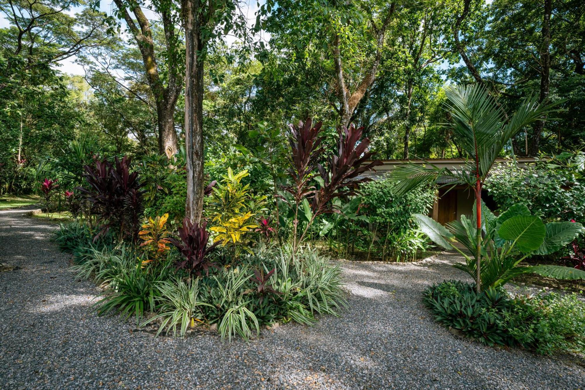Feeling Trees Jungle Holiday home *