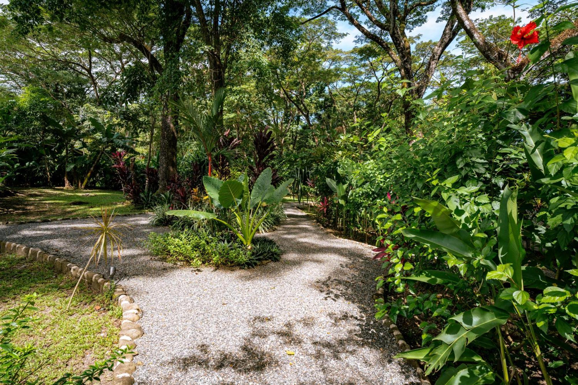 Feeling Trees Jungle Holiday home Cabuya (Puntarenas)