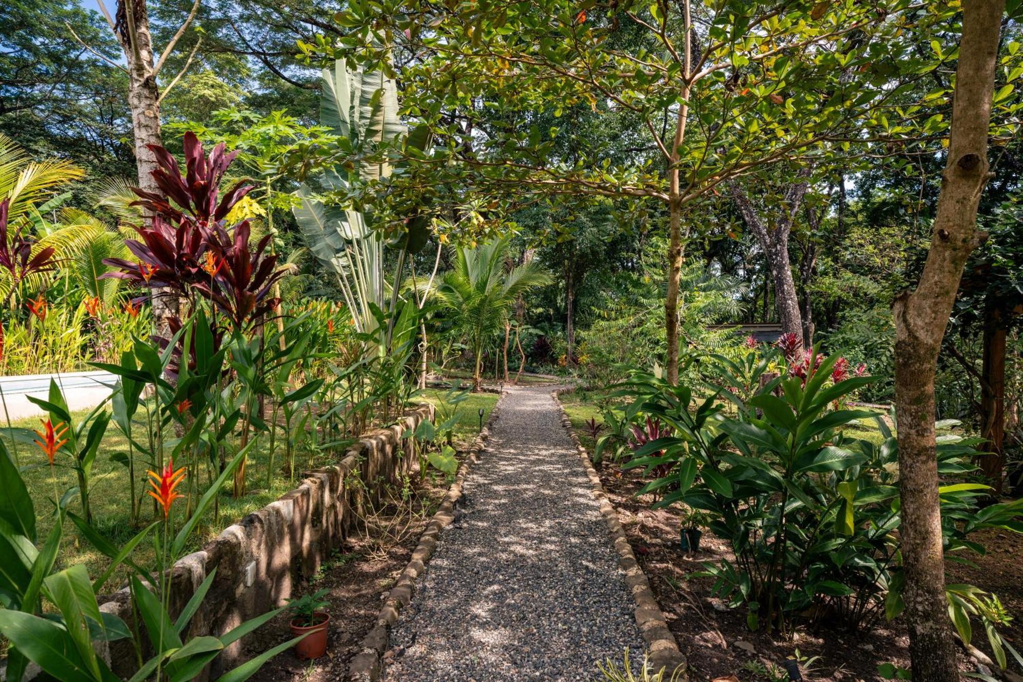 Feeling Trees Jungle Holiday home