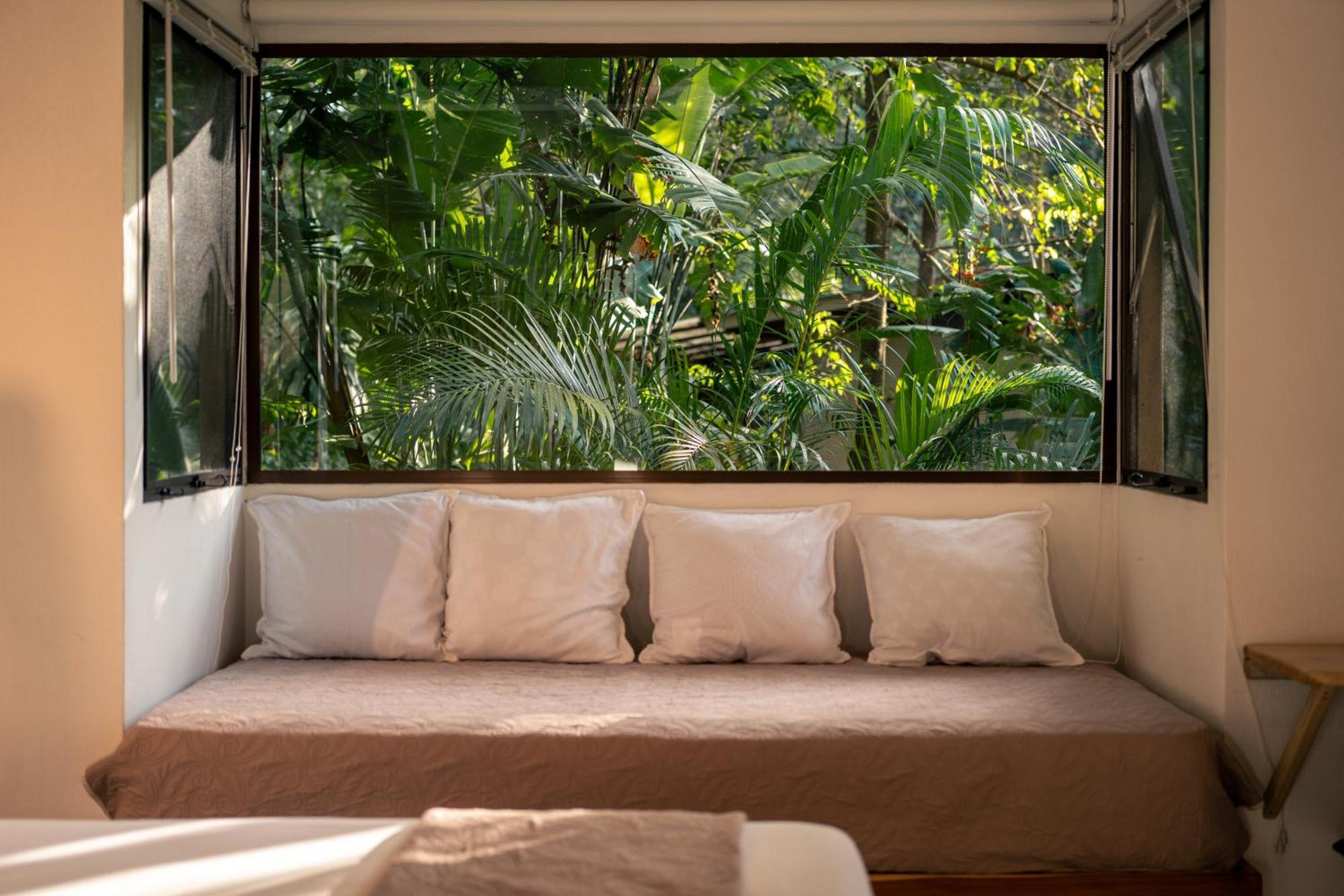 Feeling Trees Jungle