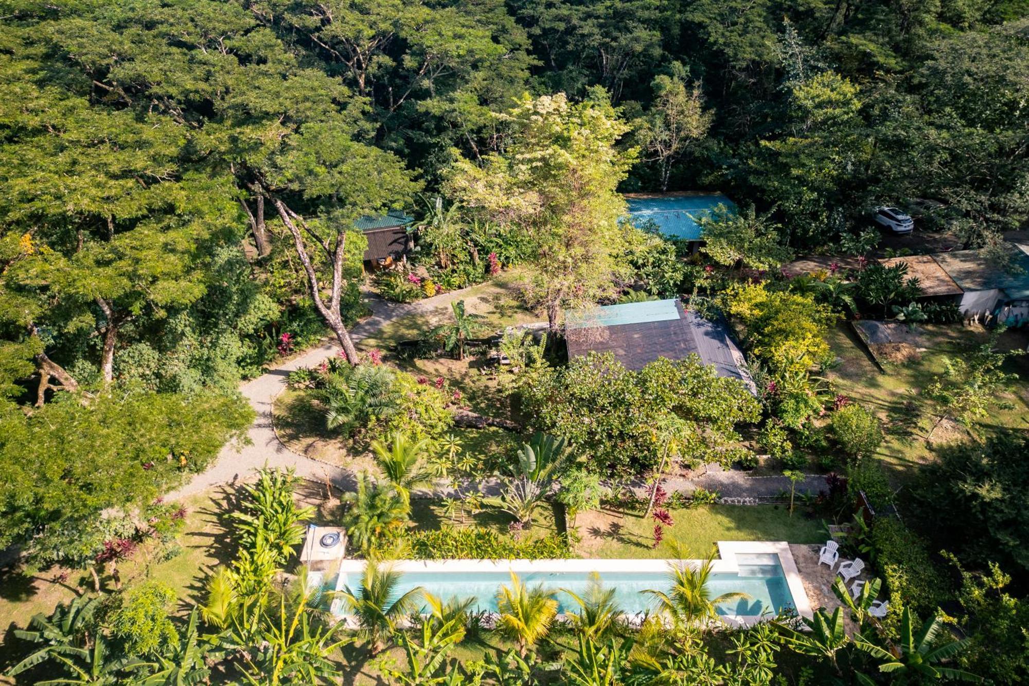 Feeling Trees Jungle Holiday home
