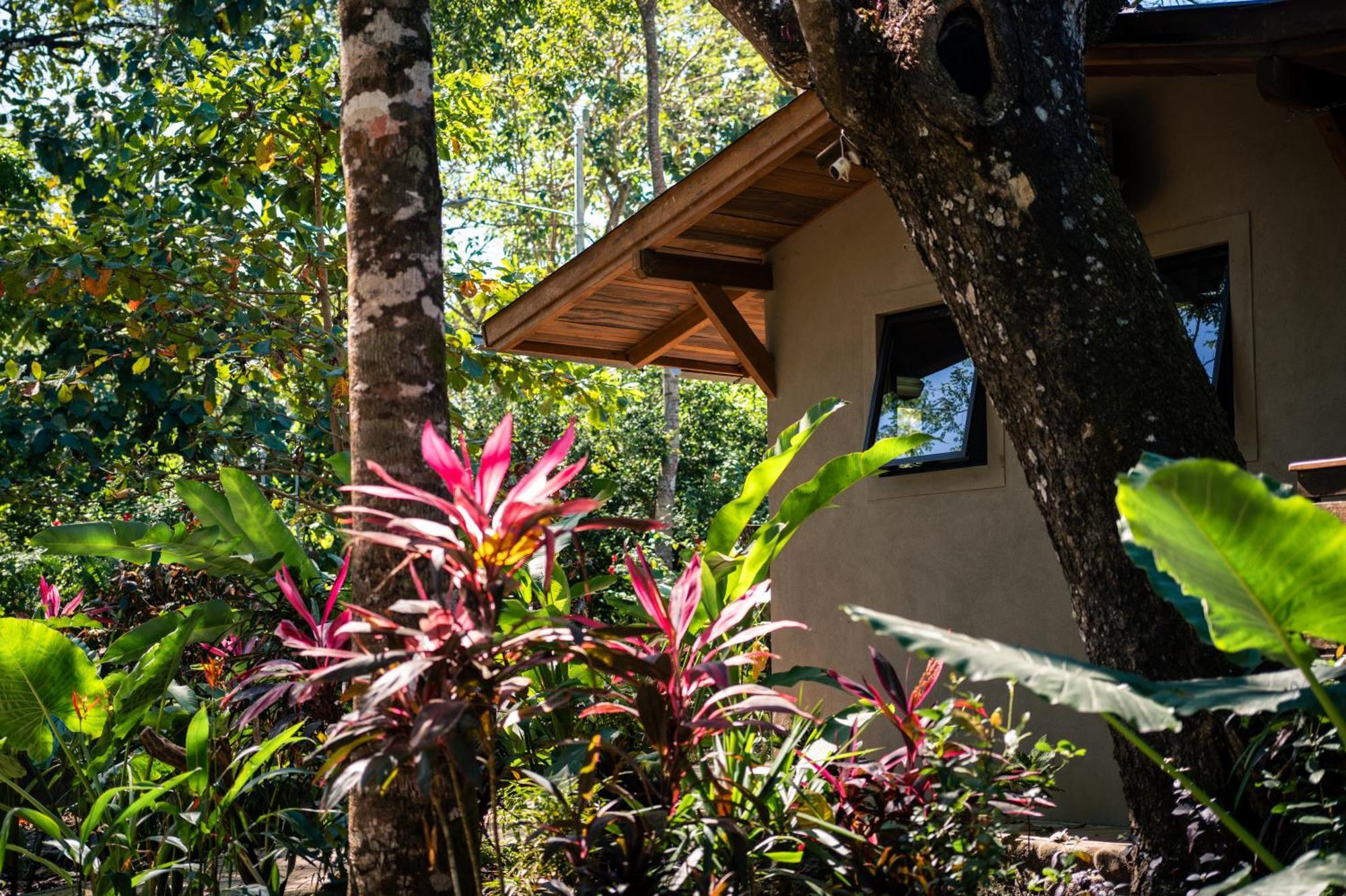 Feeling Trees Jungle Holiday home